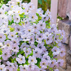 Artificial Faux Flowers Plants for Outdoors Spring Summer Decoration,12 Bundles Realistic Fake Plants Silk Daisy Flowers UV Resistant Greenery for Outside Planters Front Porch Patio Garden Home(White)