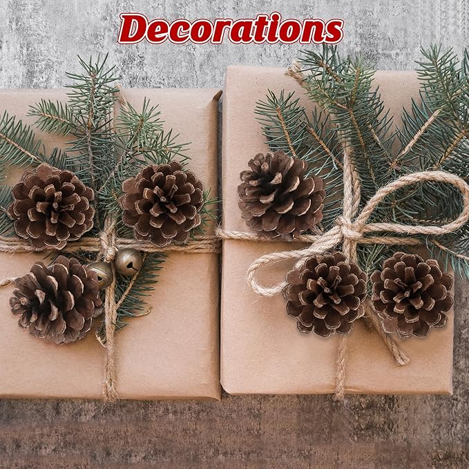 24 PCS Natural Pine Cones, 1.96 in Pinecone Ornaments, Rustic Pine Cones for Crafts, Winter Decorations for Home, Bulk Pines Cone with Gold String for Christmas Table Decor DIY Christmas Ornaments