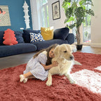 OLANLY 5x7 Machine Washable Large Area Rugs for Living Room, Bedroom, Soft Fluffy Shaggy Bedside Rug, Indoor Floor Carpet for Kids Girls and Boys, Dorms, Nursery, Home Decor Aesthetic, Rust Red
