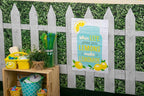 Teacher Created Resources White Wood Better Than Paper Bulletin Board Roll (77366)