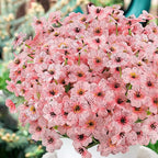 MACTING Artificial Flowers for Outdoors 12 Bundles Fake Flowers UV Resistant Faux Plastic Plants No Fade for Hanging Planters Window Patio Porch Garden Home Indoor Outside Decorations,Pink