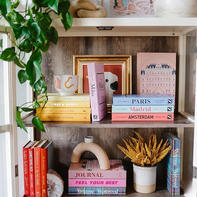 PROBENEX Pastel Medium | 4 PCS Faux Decorative Books for Home Decor | Not Real Books (Cardboard Boxes) | Coffee Table, Shelf Styling & Modern Aesthetic Accent Pieces for Living Room, Office