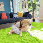 OLANLY 2x3 Machine Washable Small Bedside Rug, Soft Fluffy Shaggy Entryway Throw Rugs for Bedroom, Living Room, Indoor Floor Carpet for Kids Girls and Boys, Home Decor Aesthetic, Lime Green