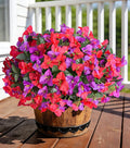 Bougainvillea Artificial Flowers for Outdoors Faux Plants Spring Decor, 4 Bundles Realistic Fake Silk Bougainvillea for Outside UV Resistant Faux Flowers for Outdoor Planters Porch Patio Garden Home