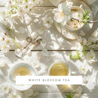 ScentAir Whisper Home Monthly Plug-in Refill, Fragrance Cartridge for Home and Office, White Blossom Tea