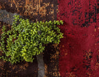 Unique Loom Barista Collection Area Rug - Kouillou (2' 2" x 6' 1" Runner, Multi/ Brown)