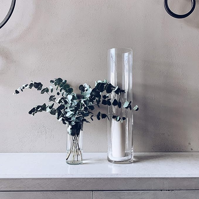 WGV Cylinder Vase Bulk, Diameter 5", Height 18", Clear Glass Floral Planter Container, Tall Centerpiece Arrangement for Wedding Party Event Home Office Decor, 6 Pieces