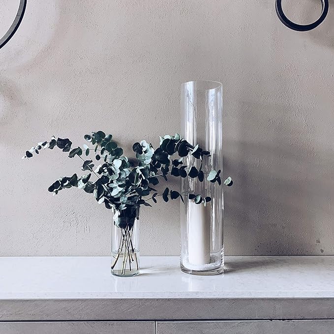 WGV Cylinder Vase Bulk, Diameter 5", Height 20", Clear Glass Floral Planter Container, Tall Centerpiece Arrangement for Wedding Party Event Home Office Decor, 6 Pieces