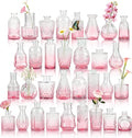 Der Rose Glass Bud Vases Set of 32 Small Pink Flower Vases for Rustic Wedding Centerpieces Table Decorations and Home Office Decor(Pink)