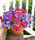 HyeFlora Artificial Flowers for Outdoors Spring Summer Decor, 6 Bundles Fake Daisy Silk Flowers for Outside Realistic UV Resistant Outdoor Faux Plants for Planters Porch Patio Garden Yard Home, Mixed