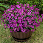 Lnoicy 20 Bundles Artificial Flowers for Outdoor Fake Plants for Spring Decoration,Faux Eucalyptus Flowers for Planter UV Resistant Lifelike for Home Porch Garden（Fuchsia）