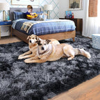 Rugs for Living Room 5x7, Soft Shaggy Modern Shag Area Rug for Bedroom, Upgrade Non-Slip Plush Fluffy Carpet for Kids Boys Girls Room Home Decor Aesthetic, Dark Grey