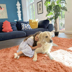 OLANLY Area Rugs for Living Room Bedroom, Machine Washable 4x5.9 ft Soft Fluffy Shaggy Bedside Rug, Indoor Floor Carpet for Kids Girls and Boys, Dorms, Nursery Rooms, Home Decor, Muted Orange