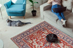 Keen Home Design 6x9 Rug - Machine Washable Area Rug with Non-Slip Backing, Ideal for Living Room, Dining Room, Bedroom - Vintage, Easy Clean, Durable, Low Pile Rug - (6' x 9')