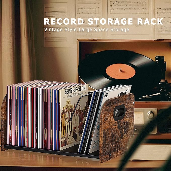 RUILALIFE Vinyl Record Storage Holder, Expandable Record Holder Rack With Movable Divider, 110 LP Album Display Shelf Stand, Magazine Holder