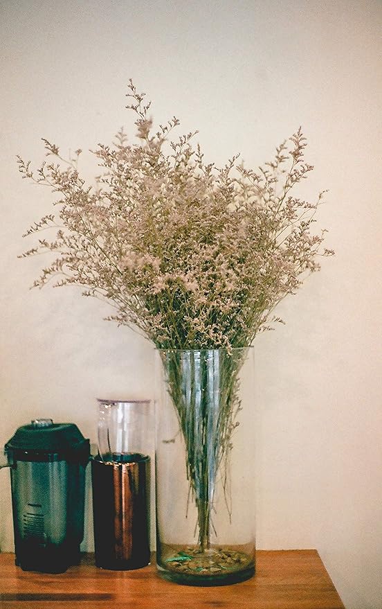 WGV Cylinder Vase, Width 7", Height 12", Clear Wide Large Diameter Flower Glassware, Floral Container, Planter Terrarium for Wedding Party Event, Home Accent Decor, 1 Piece