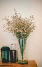 WGV Cylinder Vase, Width 7", Height 12", Clear Wide Large Diameter Flower Glassware, Floral Container, Planter Terrarium for Wedding Party Event, Home Accent Decor, 1 Piece