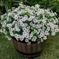 Lnoicy 20 Bundles Artificial Flowers for Outdoor Fake Plants for Spring Decoration,Faux Eucalyptus Flowers for Planter UV Resistant Lifelike for Home Porch Garden（White）