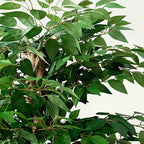VECELO Artificial Ficus Tree with Sturdy Nursery Pot, 5FT Faux Silk Plant for Indoor Outdoor Home Garden Decor, 2 Pack