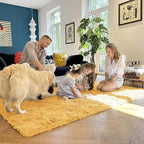 OLANLY 3x5 Machine Washable Small Bedside Rug, Soft Fluffy Shaggy Rugs for Living Room, Bedroom, Indoor Floor Carpet for Kids Girls and Boys, Preppy Dorms, Nursery, Home Decor, Mustard Yellow