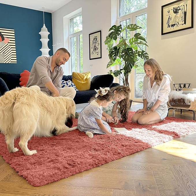 OLANLY 5x7 Machine Washable Large Area Rugs for Living Room, Bedroom, Soft Fluffy Shaggy Bedside Rug, Indoor Floor Carpet for Kids Girls and Boys, Dorms, Nursery, Home Decor Aesthetic, Rust Red