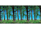 Teacher Created Resources Enchanted Forest Better Than Paper® Bulletin Board Roll (TCR77437)