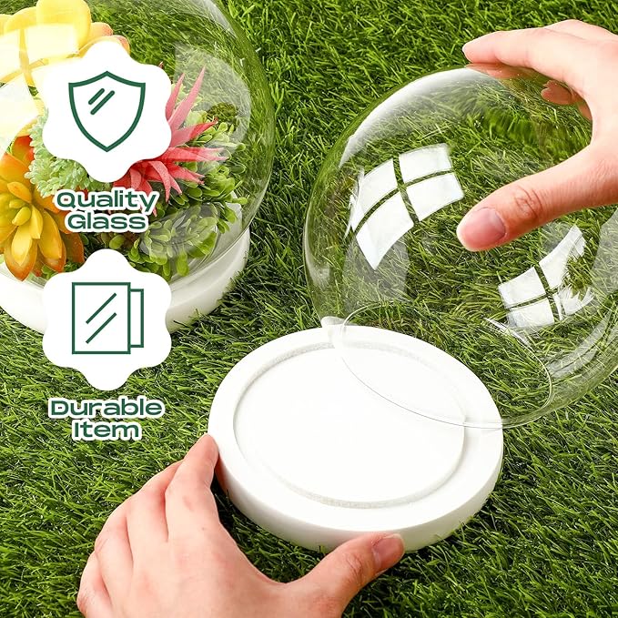 Tuanse 4 Pieces Glass Dome Display Showcase Glass Globe and Display Dome with Wood Base DIY Craft Keepsake Globe Case Gifts for Women Wedding Tabletop Centerpiece Decoration(White)