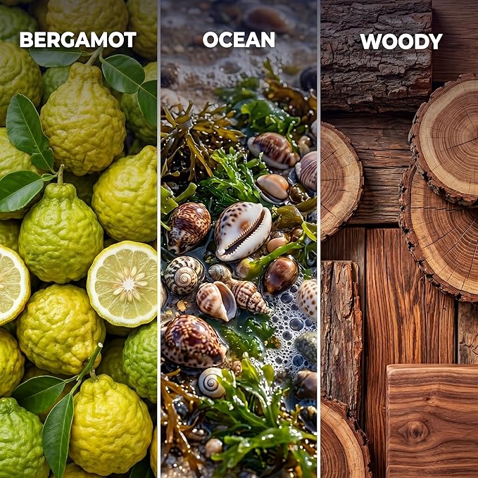 Inspired by 5-Star Hotel Rio de Janeiro RJ03 Hotel Scent Diffuser Oil | 5.07 Fl oz (150 ml) - Waterless Diffuser Oil Refill & Highly Concentrated Fragrance Oil, Diffuser Oil Scents, Hotel Oil Diffuser