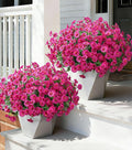 Ivydale 24 Bundles Artificial Flowers for Outdoors Faux Plants Spring Outdoor Decor Faux Silk Morning Glory with Eucalyptus Realistic UV Resistant for Outside Planters Porch Patio Garden Home Decor