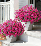 Ivydale 24 Bundles Artificial Flowers for Outdoors Faux Plants Spring Outdoor Decor Faux Silk Morning Glory with Eucalyptus Realistic UV Resistant for Outside Planters Porch Patio Garden Home Decor
