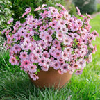 Artificial Flowers for Outdoors Daisy 12 Bundles for Home Decoration, Faux Flower Fake Plants Outside Decoration with Eucalyptus UV Resistant for Planter Porch Patio Yard Garden Pink