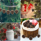 24 PCS Natural Pine Cones, 1.96 in Pinecone Ornaments, Rustic Pine Cones for Crafts, Winter Decorations for Home, Bulk Pines Cone with Gold String for Christmas Table Decor DIY Christmas Ornaments