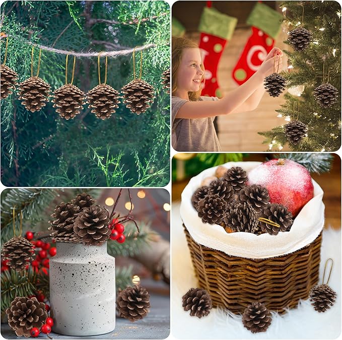 24 PCS Natural Pine Cones, 1.96 in Pinecone Ornaments, Rustic Pine Cones for Crafts, Winter Decorations for Home, Bulk Pines Cone with Gold String for Christmas Table Decor DIY Christmas Ornaments