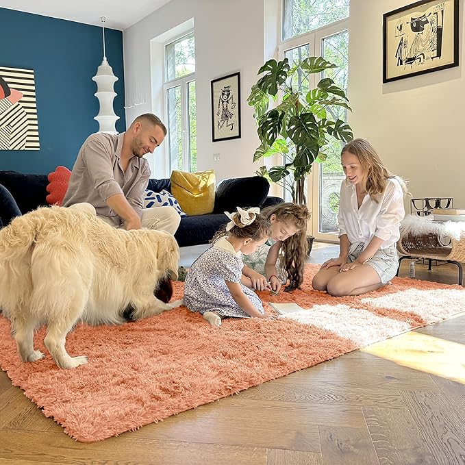 OLANLY 3x5 Machine Washable Small Bedside Rug, Soft Fluffy Shaggy Rugs for Living Room, Bedroom, Indoor Floor Carpet for Kids Girls and Boys, Preppy Dorms, Nursery, Home Decor Aesthetic, Muted Orange