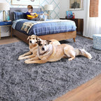Rugs for Living Room 8x10, Soft Shaggy Modern Shag Area Rug for Bedroom, Upgrade Non-Slip Plush Fluffy Carpet for Kids Boys Girls Room Home Decor Aesthetic, Grey