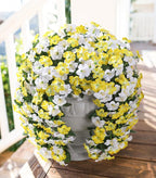 HyeFlora Artificial Flowers for Outdoors, 2pcs Faux Hanging Morning Glory Silk Fake Flowers Lifelike Artificial Plants UV Resistant Flowers for Outside Planter Patio Garden Porch Decor (Yellow)