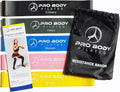 ProBody Pilates Loop Resistance Bands for Working Out, Set of 5 Exercise Bands Resistance, Workout Bands Resistance for Exercise, Small Physical Therapy Bands, 12" x 2"