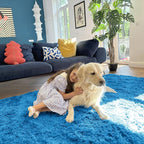 OLANLY 5x7 Machine Washable Large Area Rugs for Living Room, Bedroom, Soft Fluffy Shaggy Bedside Rug, Indoor Floor Carpet for Kids Girls and Boys, Dorms, Nursery, Home Decor Aesthetic, Bright Blue