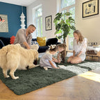 OLANLY 6x9 Machine Washable Large Area Rugs for Living Room, Bedroom, Soft Fluffy Shaggy Bedside Rug, Indoor Floor Carpet for Kids Girls and Boys, Dorms, Nursery, Home Decor Aesthetic, Olive Green