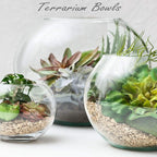 CYS EXCEL Large Glass Bubble Bowl (H-12" W-13", Approx. 5.5 Gal.) Round Bowl Terrarium Globe Flower Vase Centerpiece for Weddings Events Arrangements