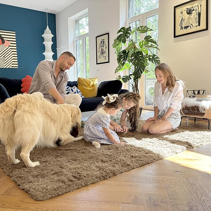 OLANLY 9x12 Machine Washable Large Area Rugs for Living Room, Bedroom, Soft Fluffy Shaggy Bedside Rug, Indoor Floor Carpet for Kids Girls and Boys, Dorms, Nursery, Home Decor Aesthetic, Taupe