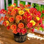 Artificial Mums Fall Flowers for Outdoors, 12 Bundles Artificial Plants Outdoor Fake Flowers UV Resistant, Outdoor Fake Plants Faux Silk Flowers for Porch Outside Planter Window Box Garden