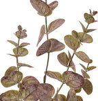 Vickerman 34" Artificial Burgundy Spiral Eucalyptus Spray. 3 Pieces in a Bag.