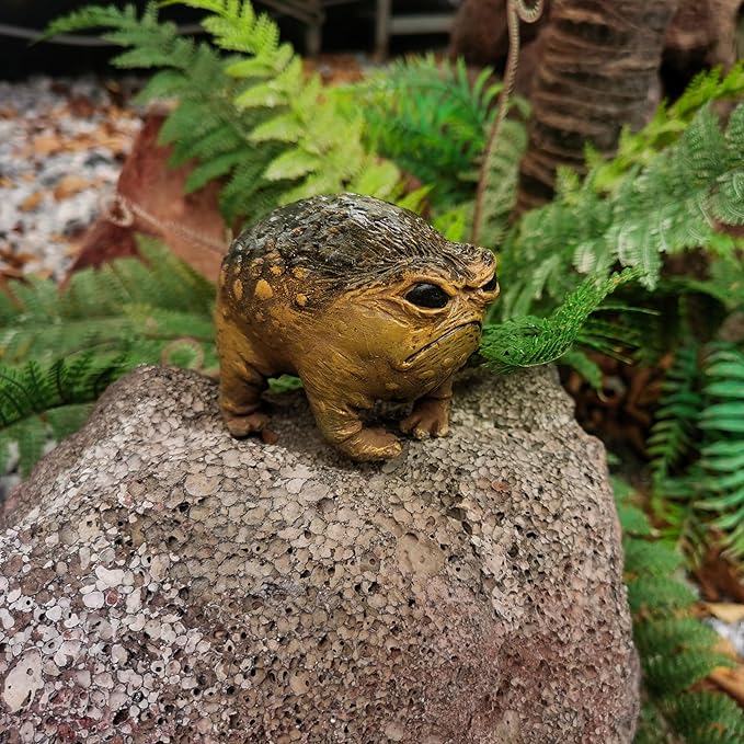 MOLMH Weird Queer Grumpy Frog Toad Statue Ugly Angry Outdoor Garden Yard Decor Statue Fun Novelty Home Office Decor Sculpture Unique Gift